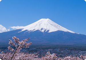 リフレッシュトーカイは富士山の天然バナジウム水を使用しています